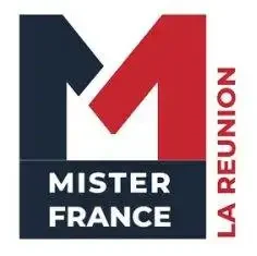 Logo Mister 300x300 1 e1782994960251.webp